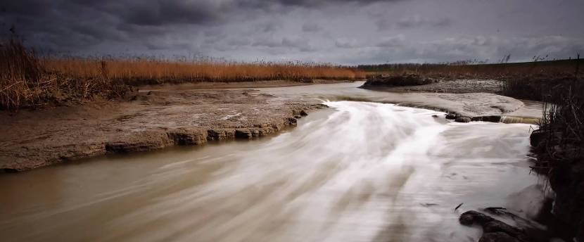 Screenshot uit de film 'Holland natuur in de delta'